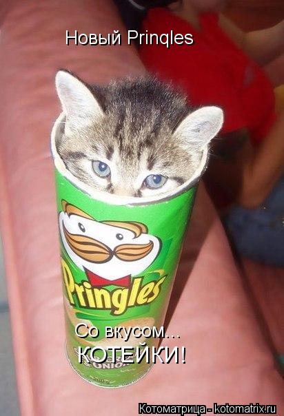 Новый Prinqles Со вкусом... КОТЕЙКИ!... Котоматрица: Новый Prinqles Со вкусом... КОТЕЙКИ!