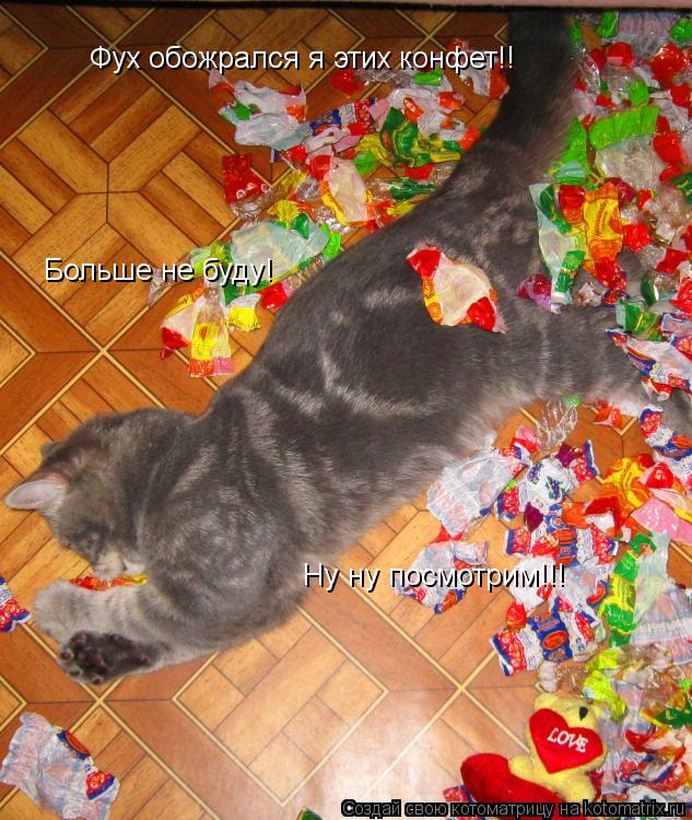 Котоматрица: Ну ну посмотрим!!! Фух обожрался я этих конфет!! Больше не буду!