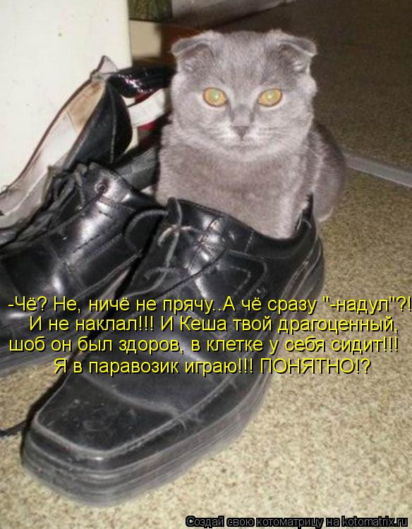 -Чё? Не, ничё не прячу..А чё сразу "-надул"?! И не наклал!!! И Кеша твой драгоценный, шоб он был здор... Котоматрица: -Чё? Не, ничё не прячу..А чё сразу "-надул"?! И не наклал!!! И Кеша твой драгоценный, шоб он был здоров, в клетке у себя сидит!!! Я в паравозик играю!!