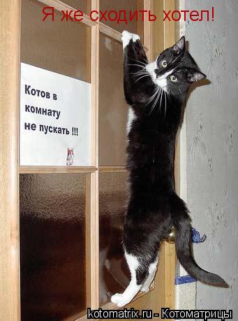 Я же сходить хотел!... Котоматрица: Я же сходить хотел!