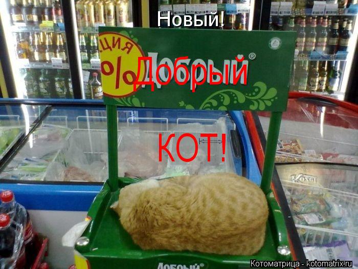 Новый! Добрый КОТ!... Котоматрица: Новый! Добрый КОТ!