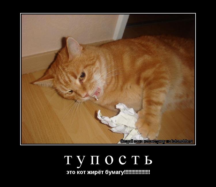 тупость это кот жирёт бумагу!!!!!!!!!!!!!!!!!!... Котоматрица: тупость это кот жирёт бумагу!!!!!!!!!!!!!!!!!!