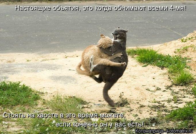 Настоящие объятия, это когда обнимают всеми 4-мя! Стоять на хвосте в это время можете, если конечно ... Котоматрица: Настоящие объятия, это когда обнимают всеми 4-мя! Стоять на хвосте в это время можете, если конечно он у вас есть!