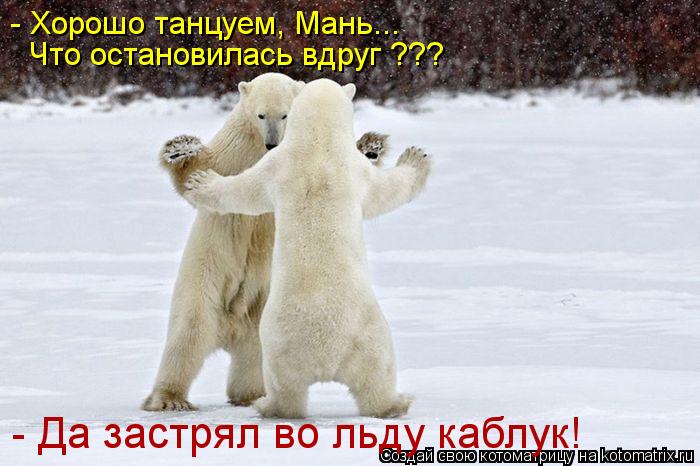 - Хорошо танцуем, Мань... Что остановилась вдруг ??? - Да застрял во льду каблук!... Котоматрица: - Хорошо танцуем, Мань... Что остановилась вдруг ??? - Да застрял во льду каблук!