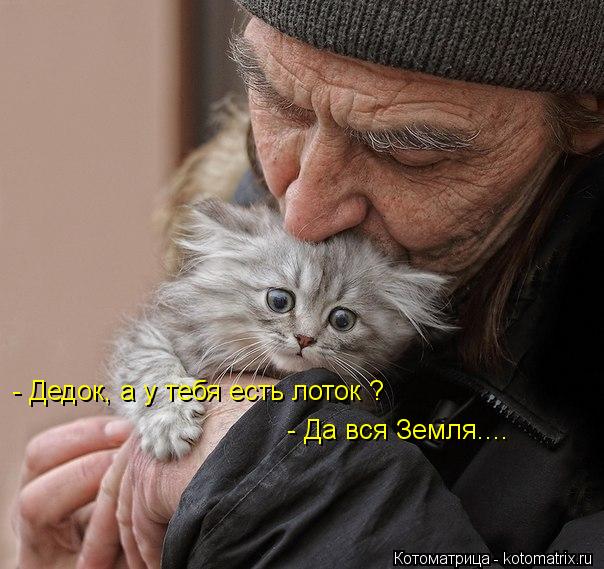 - Дедок, а у тебя есть лоток ? - Да вся Земля....... Котоматрица: - Дедок, а у тебя есть лоток ? - Да вся Земля....