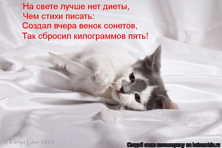 На свете лучше нет диеты, Чем стихи писать: Создал вчера венок сонетов, Так сбросил килограммов пять!... Котоматрица: На свете лучше нет диеты, Чем стихи писать: Создал вчера венок сонетов, Так сбросил килограммов пять!