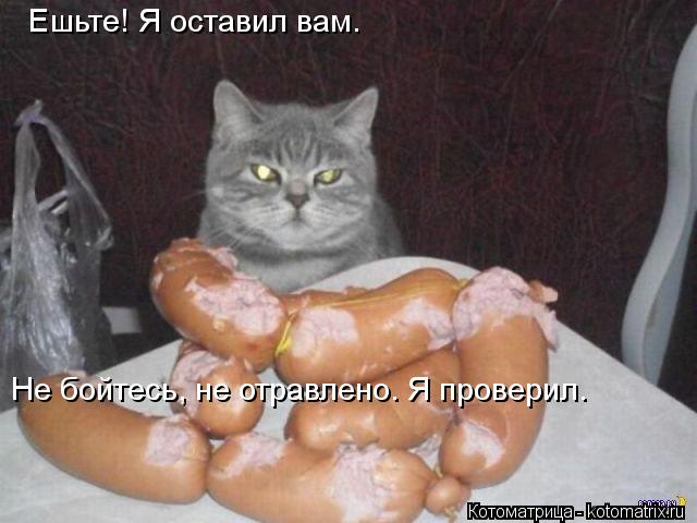 Ешьте! Я оставил вам. Не бойтесь, не отравлено. Я проверил.... Котоматрица: Ешьте! Я оставил вам. Не бойтесь, не отравлено. Я проверил.