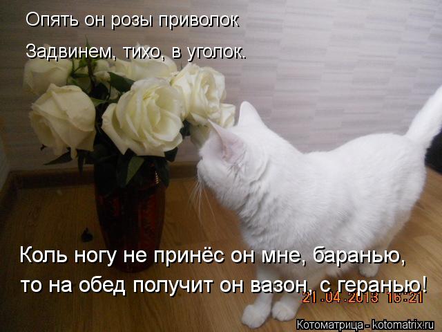 Опять он розы приволок Задвинем, тихо, в уголок. Коль ногу не принёс он мне, баранью, то на обед полу... Котоматрица: Опять он розы приволок Задвинем, тихо, в уголок. Коль ногу не принёс он мне, баранью, то на обед получит он вазон, с геранью!