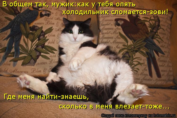 Где меня найти-знаешь, сколько в меня влезает-тоже... холодильник сломается-зови! В общем так, мужи... Котоматрица: Где меня найти-знаешь, сколько в меня влезает-тоже... холодильник сломается-зови! В общем так, мужик:как у тебя опять