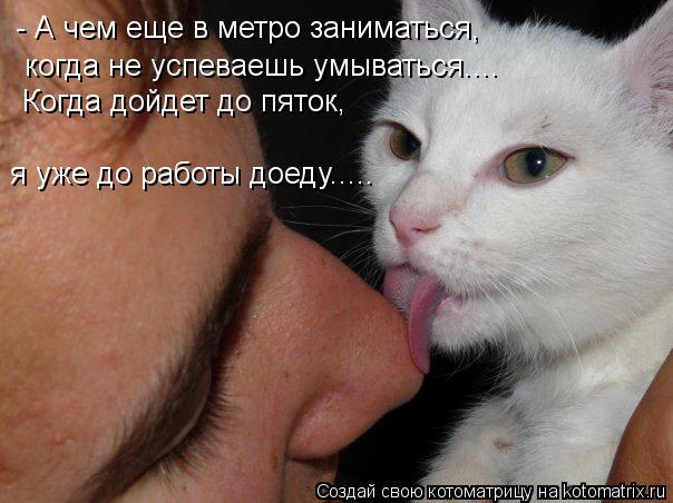 - А чем еще в метро заниматься, когда не успеваешь умываться.... Когда дойдет до пяток, я уже до рабо... Котоматрица: - А чем еще в метро заниматься, когда не успеваешь умываться.... Когда дойдет до пяток, я уже до работы доеду.....