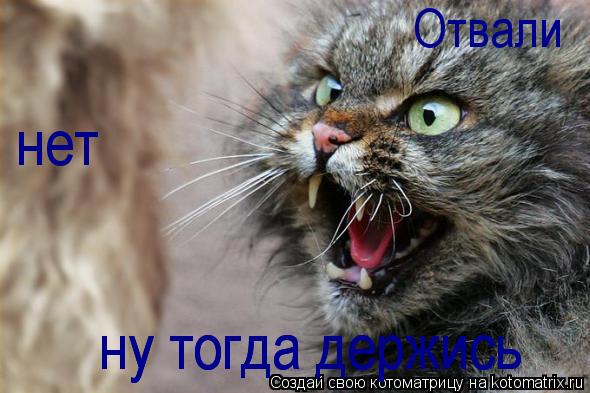 Отвали нет ну тогда держись ну тогда держись... Котоматрица: Отвали нет ну тогда держись ну тогда держись
