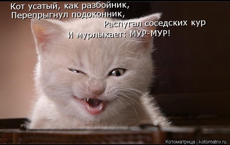 Кот усатый, как разбойник, Перепрыгнул подоконник, Распугал соседских кур И мурлыкает: МУР-МУР!... Котоматрица: Кот усатый, как разбойник, Перепрыгнул подоконник, Распугал соседских кур И мурлыкает: МУР-МУР!
