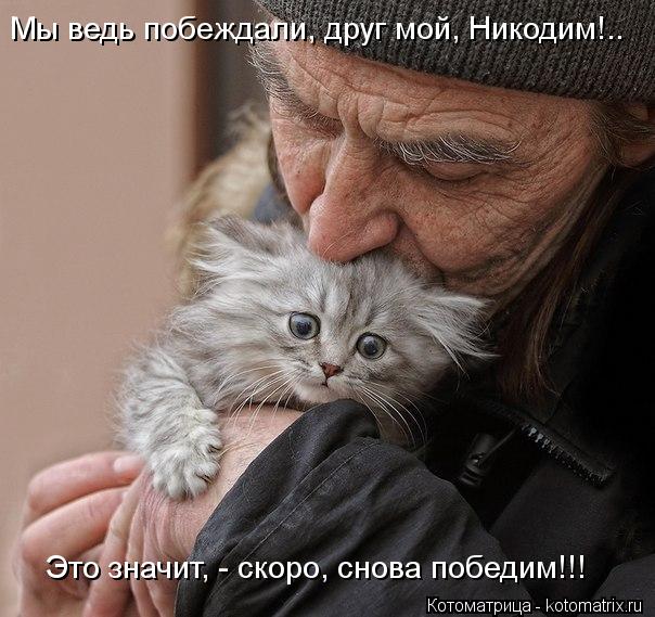 Мы ведь побеждали, друг мой, Никодим!.. Это значит, - скоро, снова победим!!!... Котоматрица: Мы ведь побеждали, друг мой, Никодим!.. Это значит, - скоро, снова победим!!!