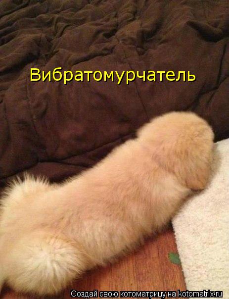 Вибратомурчатель... Котоматрица: Вибратомурчатель