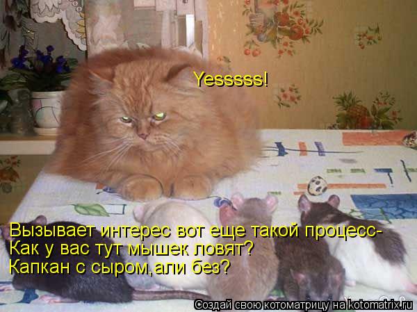 Вызывает интерес вот еще такой процесс- Как у вас тут мышек ловят? Капкан с сыром,али без? Yesssss!... Котоматрица: Вызывает интерес вот еще такой процесс- Как у вас тут мышек ловят? Капкан с сыром,али без? Yesssss!