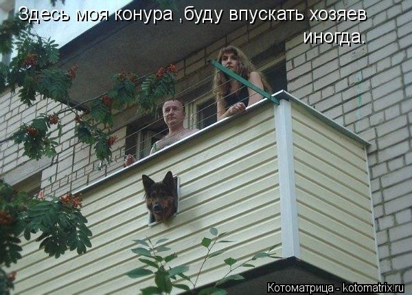 Здесь моя конура ,буду впускать хозяев иногда.... Котоматрица: Здесь моя конура ,буду впускать хозяев иногда.