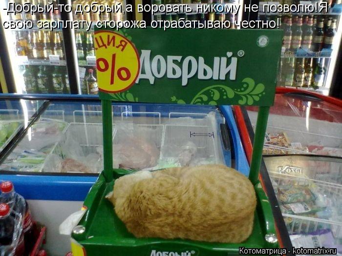 -Добрый-то добрый,а воровать никому не позволю!Я свою зарплату сторожа отрабатываю честно!... Котоматрица: -Добрый-то добрый,а воровать никому не позволю!Я свою зарплату сторожа отрабатываю честно!