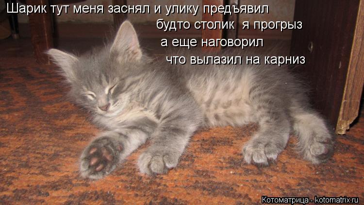 а еще наговорил будто столик я прогрыз Шарик тут меня заснял и улику предъявил что вылазил на карниз... Котоматрица: а еще наговорил будто столик я прогрыз Шарик тут меня заснял и улику предъявил что вылазил на карниз