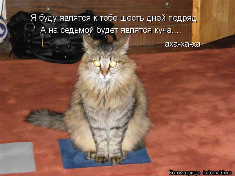 Я буду являтся к тебе шесть дней подряд А на седьмой будет являтся куча.... аха-ха-ха... Котоматрица: Я буду являтся к тебе шесть дней подряд А на седьмой будет являтся куча.... аха-ха-ха