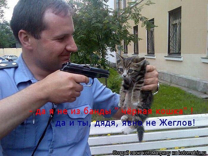 - да я не из банды " чёрная кошка" ! да и ты, дядя, явно не Жеглов!... Котоматрица: - да я не из банды " чёрная кошка" ! да и ты, дядя, явно не Жеглов!