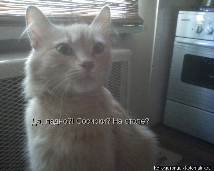 Да, ладно?! Сосиски? На столе?... Котоматрица: Да, ладно?! Сосиски? На столе?