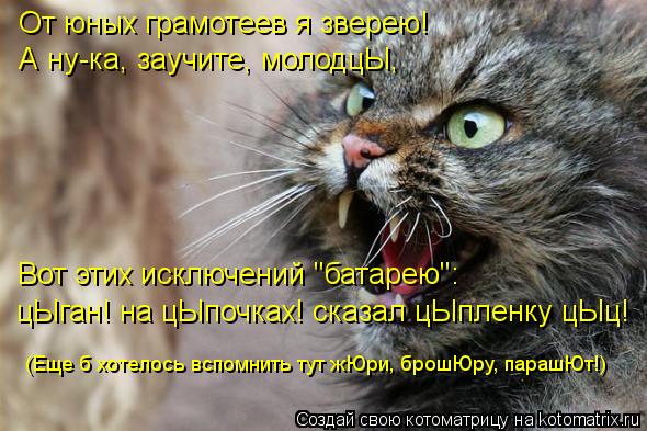 От юных грамотеев я зверею! А ну-ка, заучите, молодцЫ, Вот этих исключений "батарею": цЫган! на цЫпоч... Котоматрица: От юных грамотеев я зверею! А ну-ка, заучите, молодцЫ, Вот этих исключений "батарею": цЫган! на цЫпочках! сказал цЫпленку цЫц! (Еще б хотелось в