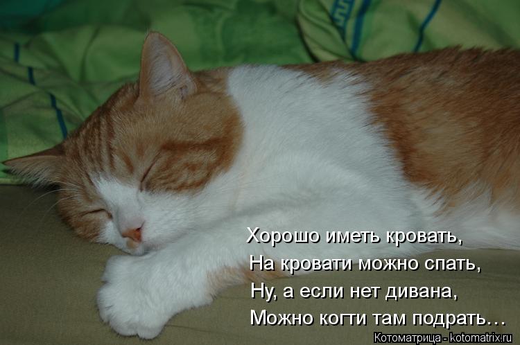 Хорошо иметь кровать, На кровати можно спать, Ну, а если нет дивана, Можно когти там подрать…... Котоматрица: Хорошо иметь кровать, На кровати можно спать, Ну, а если нет дивана, Можно когти там подрать…
