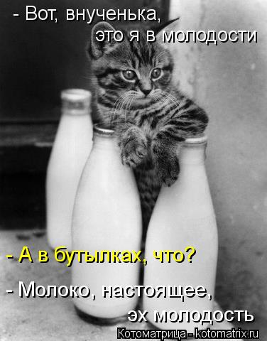 - Вот, внученька, это я в молодости - А в бутылках, что? - Молоко, настоящее, эх молодость... Котоматрица: - Вот, внученька, это я в молодости - А в бутылках, что? - Молоко, настоящее, эх молодость