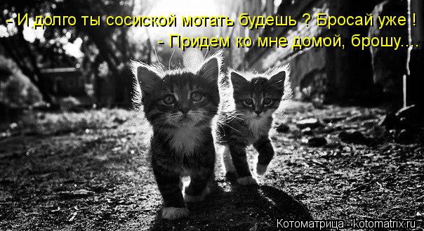 - И долго ты сосиской мотать будешь ? Бросай уже ! - Придем ко мне домой, брошу....... Котоматрица: - И долго ты сосиской мотать будешь ? Бросай уже ! - Придем ко мне домой, брошу....