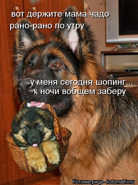 вот держите мама чадо рано-рано по утру у меня сегодня шопинг к ночи вобщем заберу ...... Котоматрица: вот держите мама чадо рано-рано по утру у меня сегодня шопинг к ночи вобщем заберу ...