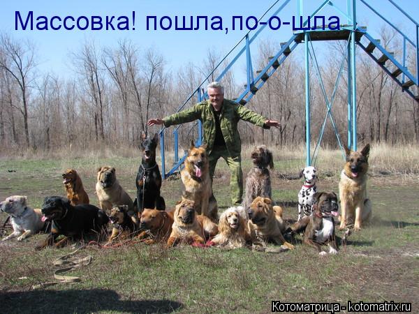 Массовка! пошла,по-о-шла... Котоматрица: Массовка! пошла,по-о-шла