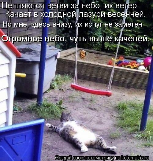 Цепляются ветви за небо, их ветер Качает в холодной лазури весенней. Но мне, здесь внизу, их испуг н... Котоматрица: Цепляются ветви за небо, их ветер Качает в холодной лазури весенней. Но мне, здесь внизу, их испуг не заметен Огромное небо, чуть выше качеле