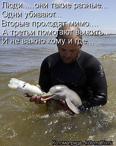 Люди.....они такие разные... Одни убивают... Вторые проходят мимо.... А третьи помогают выжить... И н... Котоматрица: Люди.....они такие разные... Одни убивают... Вторые проходят мимо.... А третьи помогают выжить... И не важно кому и где...