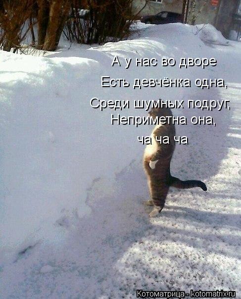 А у нас во дворе Есть девчёнка одна, Среди шумных подруг, Неприметна она, ча ча ча... Котоматрица: А у нас во дворе Есть девчёнка одна, Среди шумных подруг, Неприметна она, ча ча ча