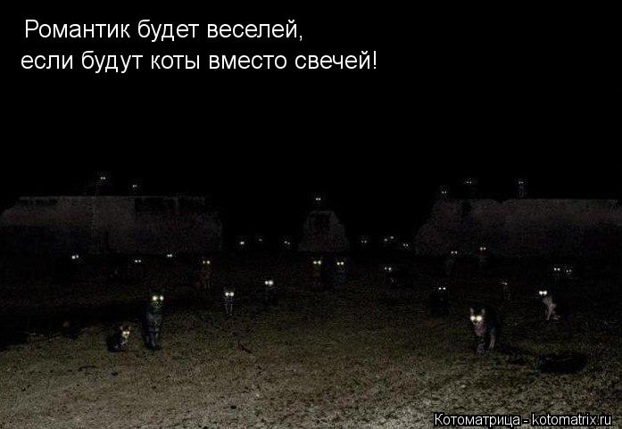 Романтик будет веселей, если будут коты вместо свечей!... Котоматрица: Романтик будет веселей, если будут коты вместо свечей!