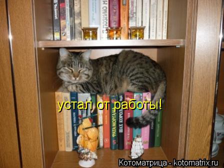 устал от работы!... Котоматрица: устал от работы!