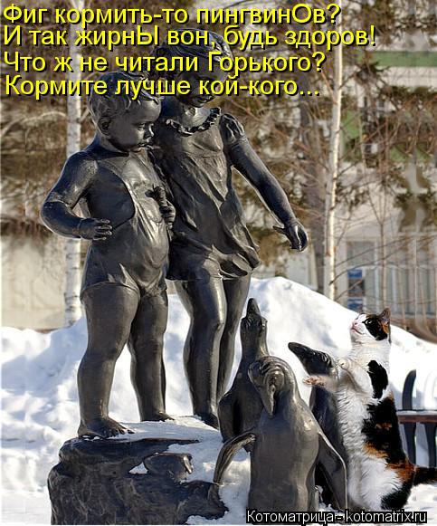 Фиг кормить-то пингвинОв? И так жирнЫ вон, будь здоров! Что ж не читали Горького? Кормите лучше кой-к... Котоматрица: Фиг кормить-то пингвинОв? И так жирнЫ вон, будь здоров! Что ж не читали Горького? Кормите лучше кой-кого...