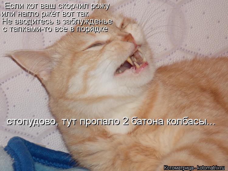 Если кот ваш скорчил рожу или нагло ржёт вот так Не вводитесь в заблужденье с тапками-то все в порядк... Котоматрица: Если кот ваш скорчил рожу или нагло ржёт вот так Не вводитесь в заблужденье с тапками-то все в порядке стопудово, тут пропало 2 батона колбас
