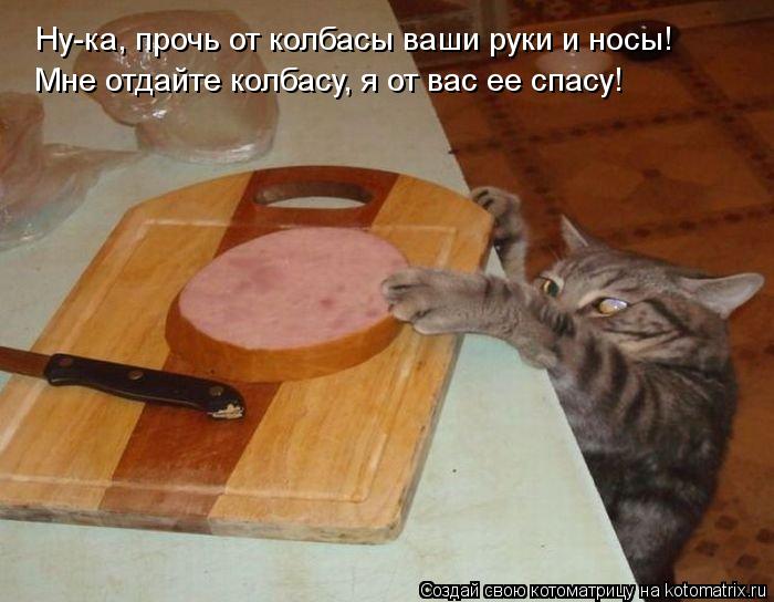 Ну-ка, прочь от колбасы ваши руки и носы! Мне отдайте колбасу, я от вас ее спасу!... Котоматрица: Ну-ка, прочь от колбасы ваши руки и носы! Мне отдайте колбасу, я от вас ее спасу!