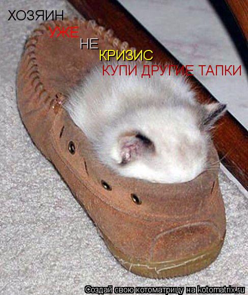 ХОЗЯИН УЖЕ НЕ КРИЗИС КУПИ ДРУГИЕ ТАПКИ... Котоматрица: ХОЗЯИН УЖЕ НЕ КРИЗИС КУПИ ДРУГИЕ ТАПКИ