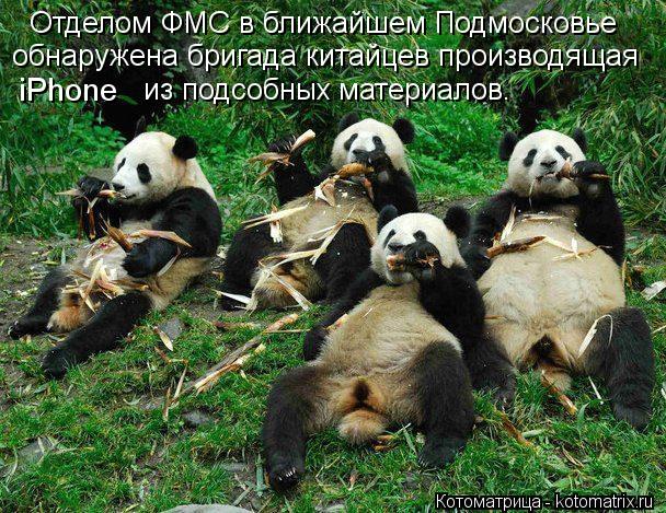 Отделом ФМС в ближайшем Подмосковье обнаружена бригада китайцев производящая iPhone из подсобных мат... Котоматрица: Отделом ФМС в ближайшем Подмосковье обнаружена бригада китайцев производящая iPhone из подсобных материалов.
