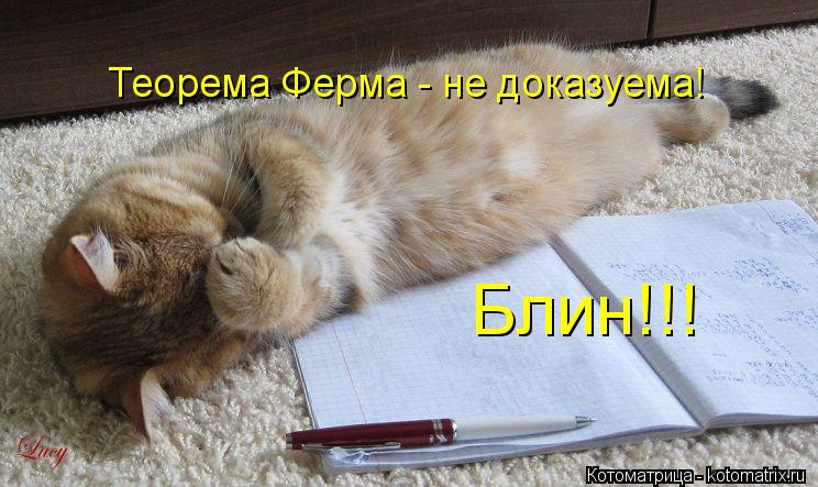 Теорема Ферма - не доказуема! Блин!!!... Котоматрица: Теорема Ферма - не доказуема! Блин!!!
