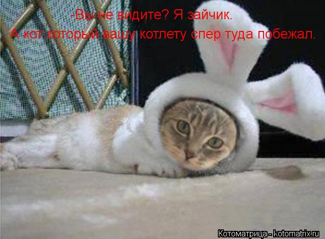 -Вы не видите? Я зайчик. -Вы не видите? Я зайчик. А кот который вашу котлету спер туда побежал.... Котоматрица: -Вы не видите? Я зайчик. -Вы не видите? Я зайчик. А кот который вашу котлету спер туда побежал.