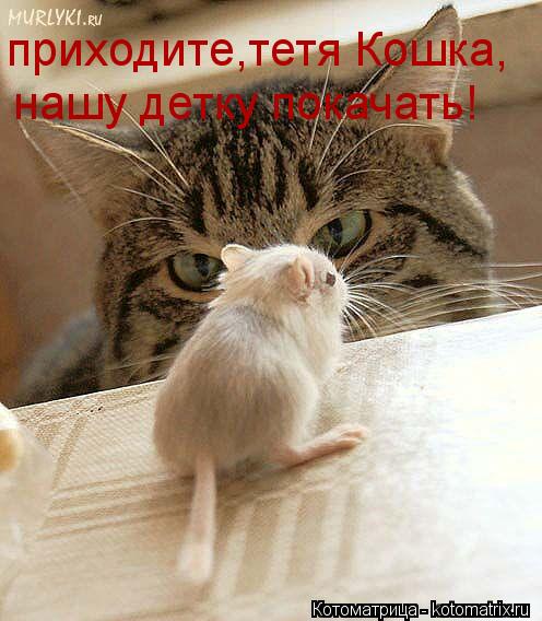 приходите,тетя Кошка, нашу детку покачать!... Котоматрица: приходите,тетя Кошка, нашу детку покачать!
