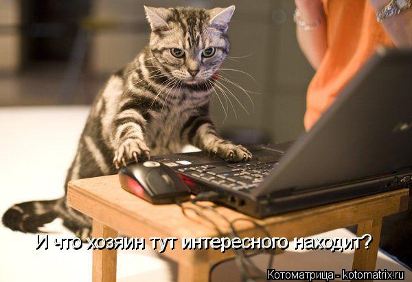 И что хозяин тут интересного находит? И что хозяин тут интересного находит? И что хозяин тут интересн... Котоматрица: И что хозяин тут интересного находит? И что хозяин тут интересного находит? И что хозяин тут интересного находит?