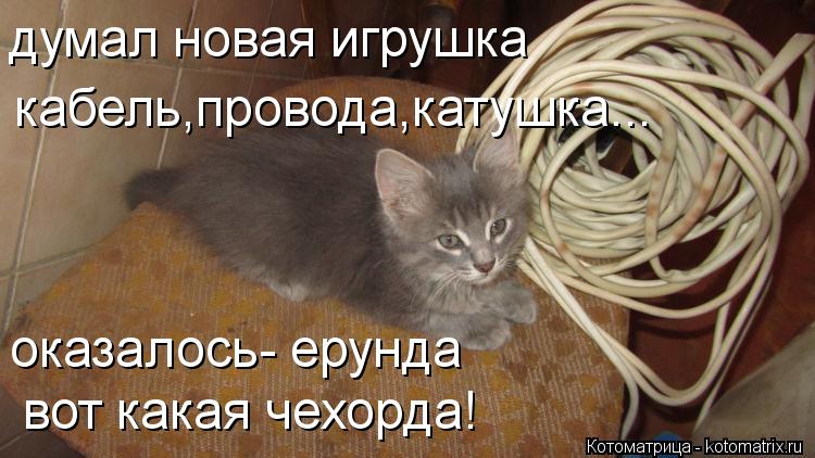 думал новая игрушка кабель,провода,катушка... вот какая чехорда! оказалось- ерунда... Котоматрица: думал новая игрушка кабель,провода,катушка... вот какая чехорда! оказалось- ерунда
