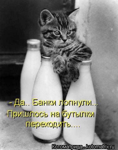- Да.. Банки лопнули... Пришлось на бутылки переходить....... Котоматрица: - Да.. Банки лопнули... Пришлось на бутылки переходить....