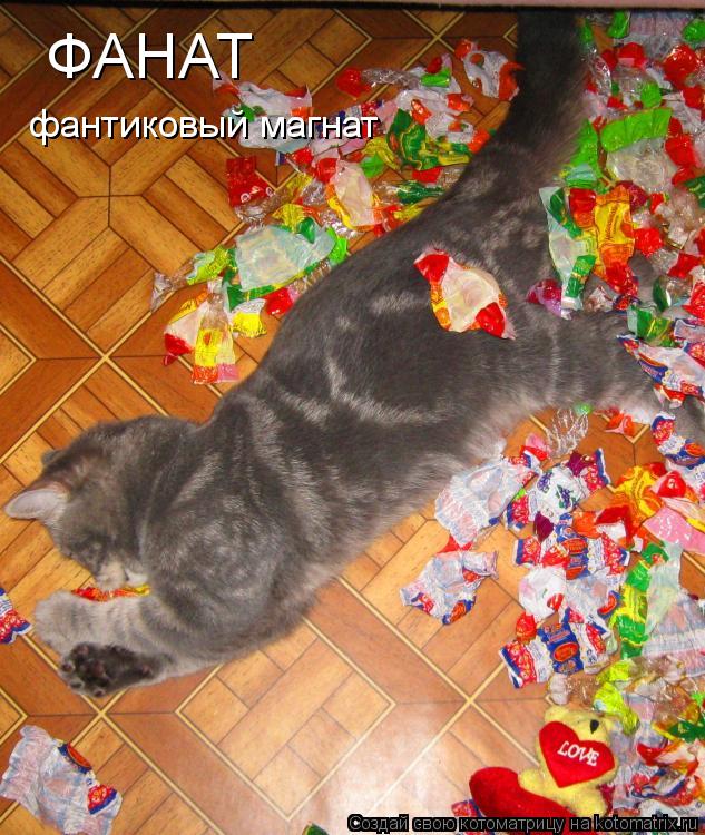 ФАНАТ фантиковый магнат... Котоматрица: ФАНАТ фантиковый магнат
