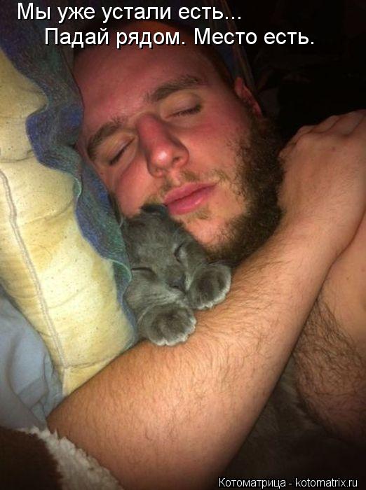 Мы уже устали есть... Падай рядом. Место есть.... Котоматрица: Мы уже устали есть... Падай рядом. Место есть.