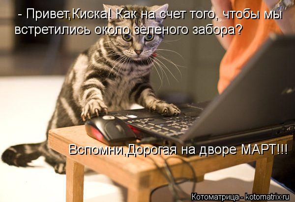 - Привет,Киска! Как на счет того, чтобы мы встретились около зеленого забора? Вспомни,Дорогая на двор... Котоматрица: - Привет,Киска! Как на счет того, чтобы мы встретились около зеленого забора? Вспомни,Дорогая на дворе МАРТ!!!